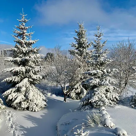 Haus Schneekappe * Winterberg
