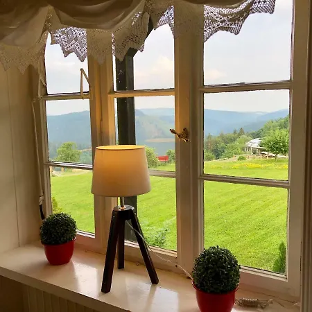 Apartamento Haus Schneekappe *
