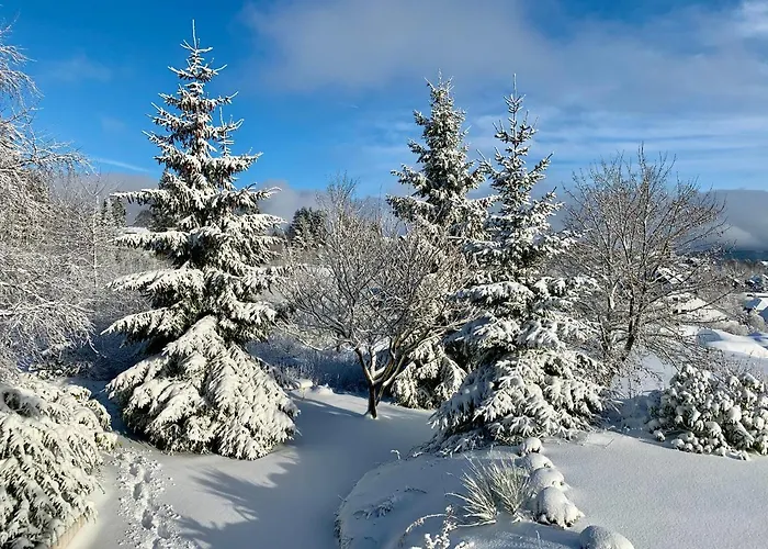 Haus Schneekappe * Winterberg