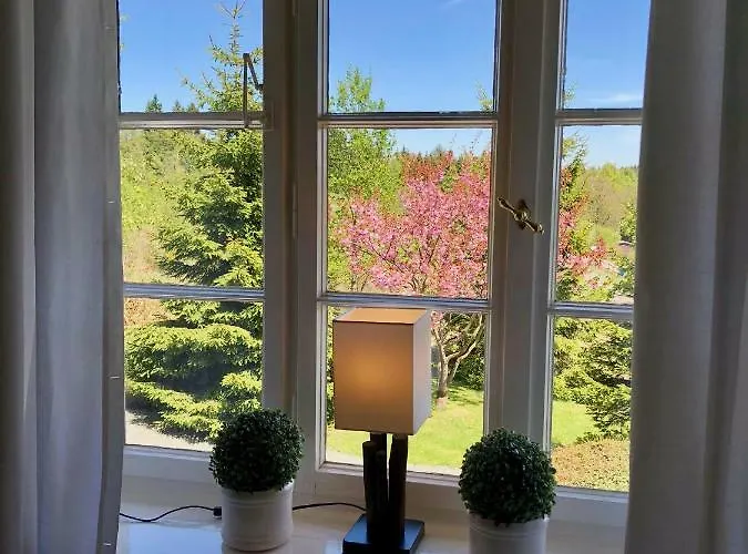 Haus Schneekappe Apartment *