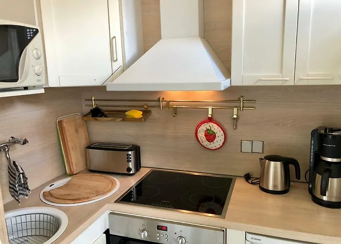 Haus Schneekappe アパート ヴィンターベルク